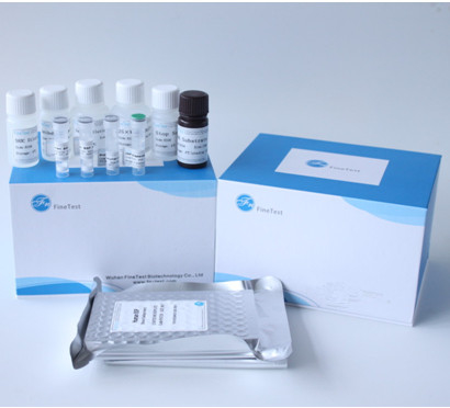 96 अच्छी तरह से मानव Myeloperoxidase एमपीओ एलिसा किट